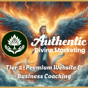 Tier 2 | Premium Website & Business Coaching​