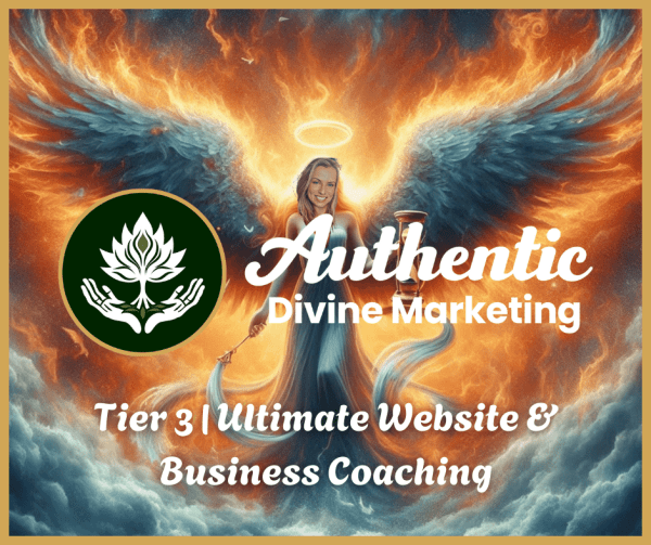 Tier 3 | Ultimate Website & Business Coaching​​​